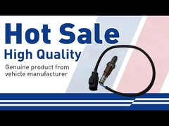 Volvo için oksijen sensörü