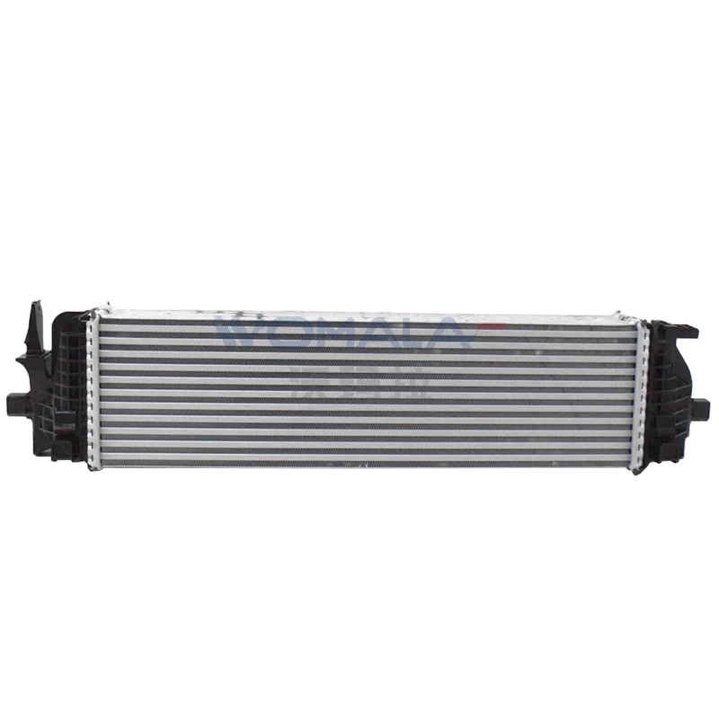 Volvo S60/S90 V60/V90 XC60/XC90 Otomatik Parçalar için Womala Intercooler OE 31338306