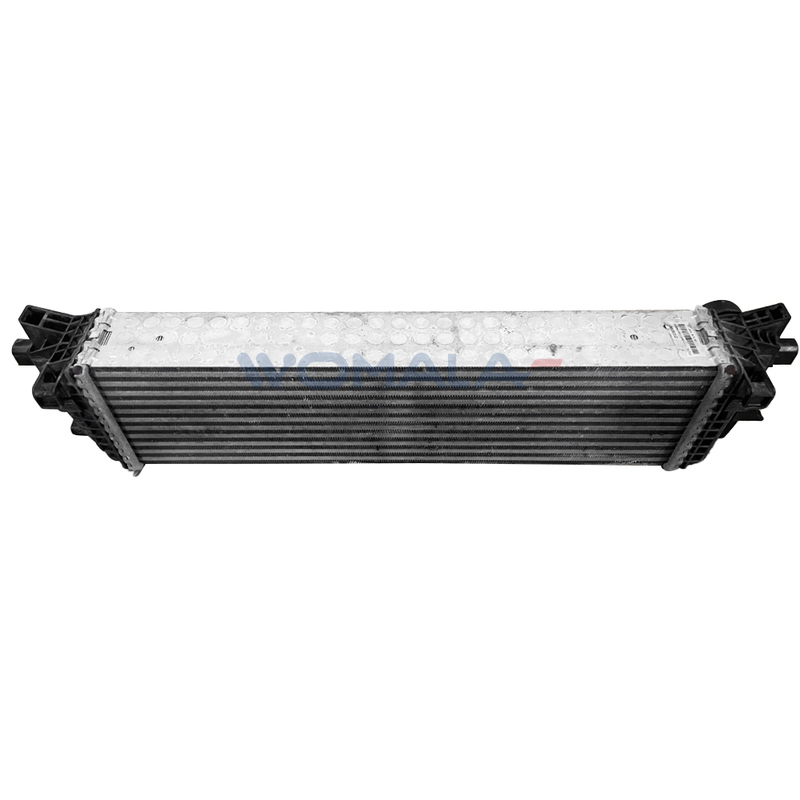 Volvo S60/S90 V60/V90 XC60/XC90 Otomatik Parçalar için Womala Intercooler OE 31338306