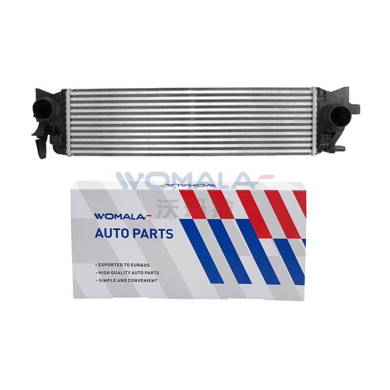 Volvo S60/S90 V60/V90 XC60/XC90 Otomatik Parçalar için Womala Intercooler OE 31338306