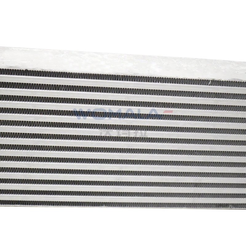 Auto Parts S60/S90 V60/V90 XC60/XC90 Otomatik Parçalar için Womala Intercooler OE 31338306