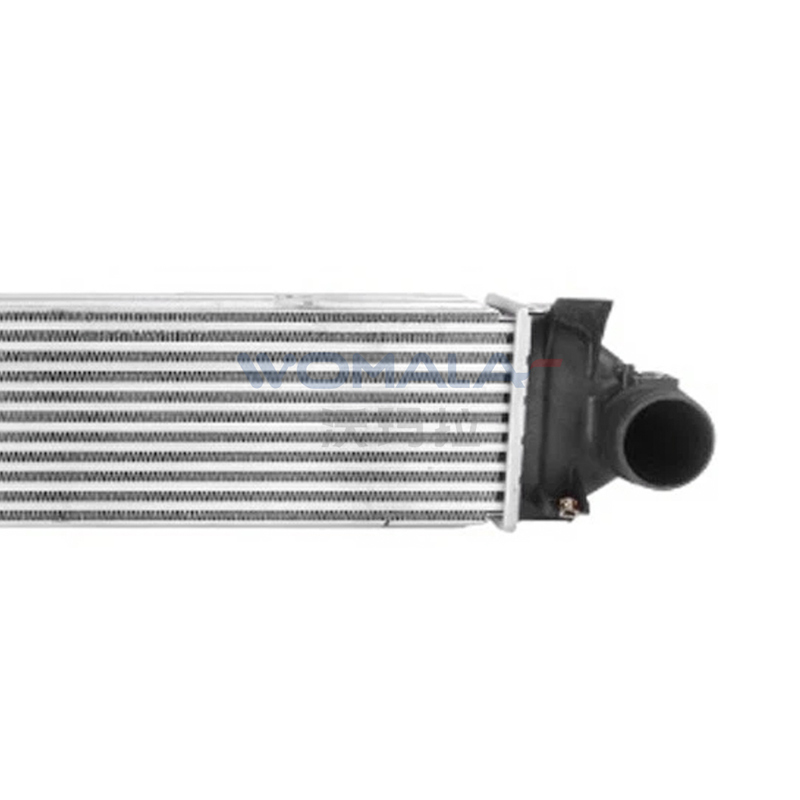 Womala Oto Soğutma Parçaları Intercooler OE 31338473 Volvo V40 V70 S80 C30 XC70 için