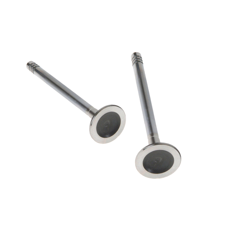 Womala Motor Egzoz Valfi 32249029 Auto Parts XC90 Motoru Otomatik Parçaları için Egzoz Valfi