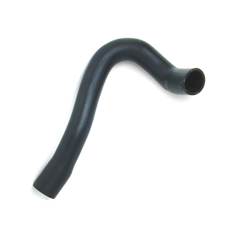 Womala Alt Radyatör Soğutma Hortumu OE 1265014682 Benz Motor Soğutma Sistemi Parçaları