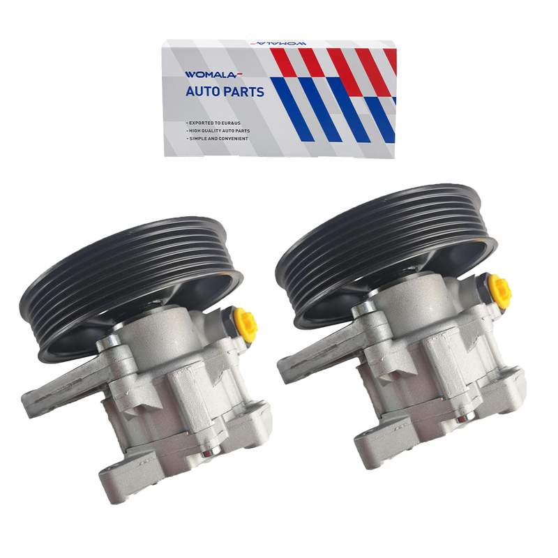 Womala Hidrolik Direksiyon Pompası OE 0044668501 Mercedes Benz ML350 Direksiyon Sistemi Parçaları için Referans OEM