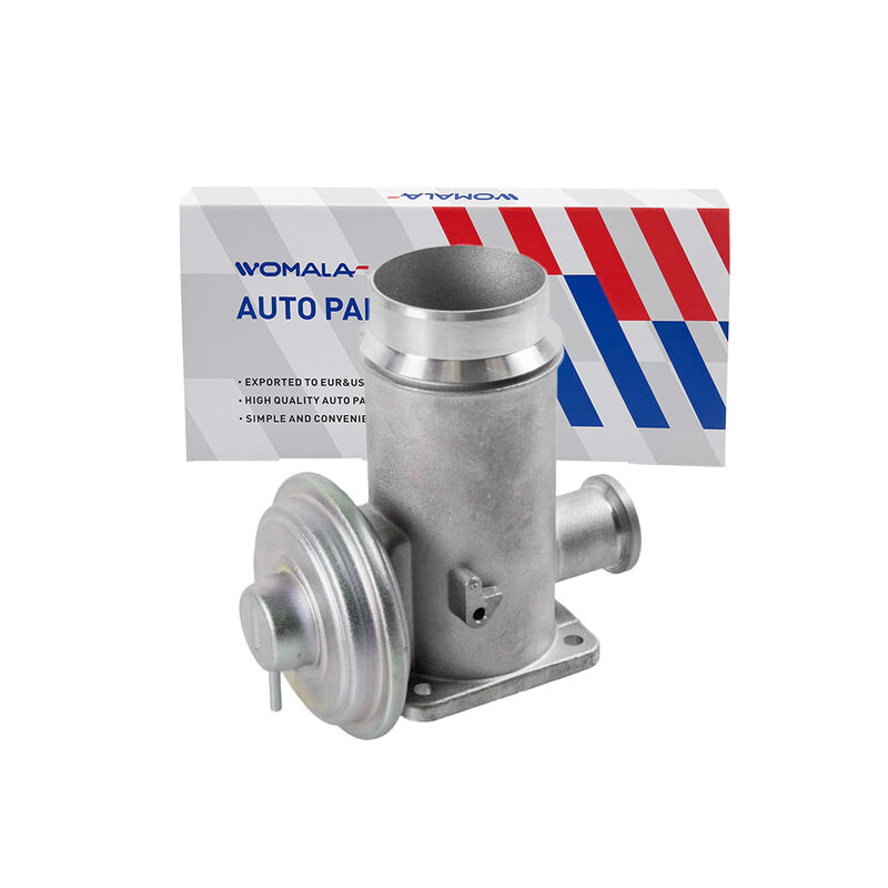 Womala Otomobil Parçaları Egzoz Gazı Dönüştürme Valvu OE 11717792077 Bmw için EGR Valvu