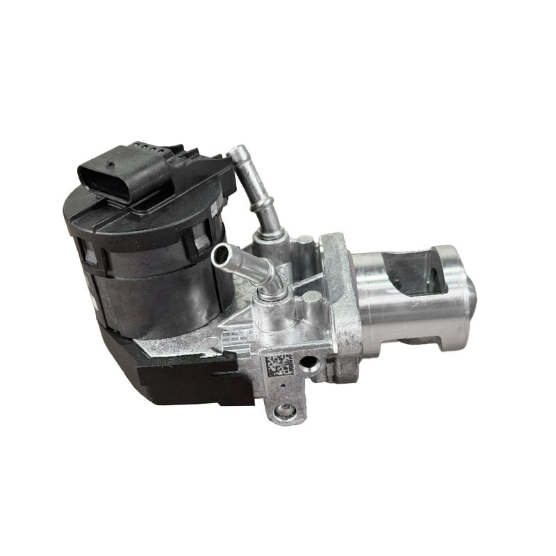 Womala EGR Valve 11717810871 11719886714 BMW 1/3/5/7 Serisi X1/3/5/6 için