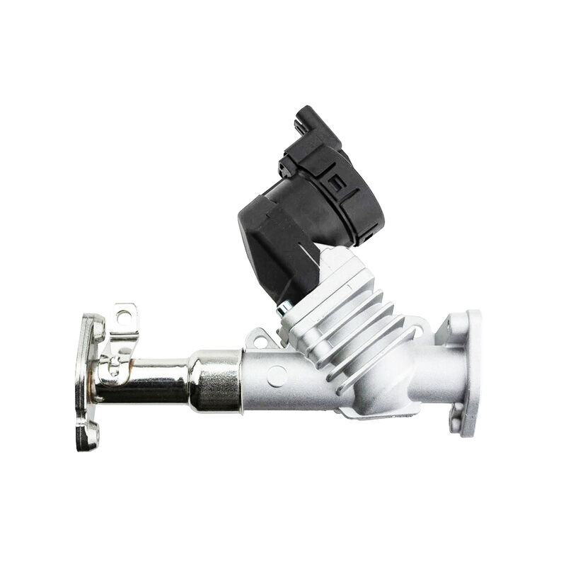 Womala Otomatik Parçalar Bmw 1/3/5 Serisi için EGR Valve 11717563241 11718479590