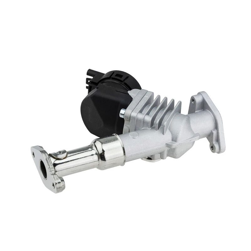 Womala Otomatik Parçalar Bmw 1/3/5 Serisi için EGR Valve 11717563241 11718479590