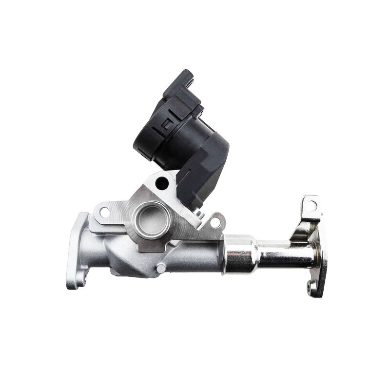 Womala Otomatik Parçalar Bmw 1/3/5 Serisi için EGR Valve 11717563241 11718479590