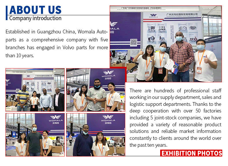 Womala Arka Sağ Emniyet Kemeri OE 31320495 Auto Parts S40 V50 Yedek Parça